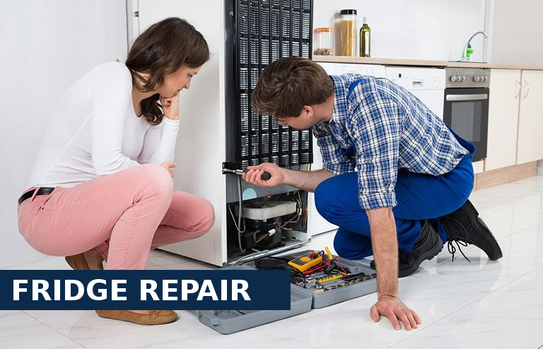 Fridge Repair Upper Edmonton